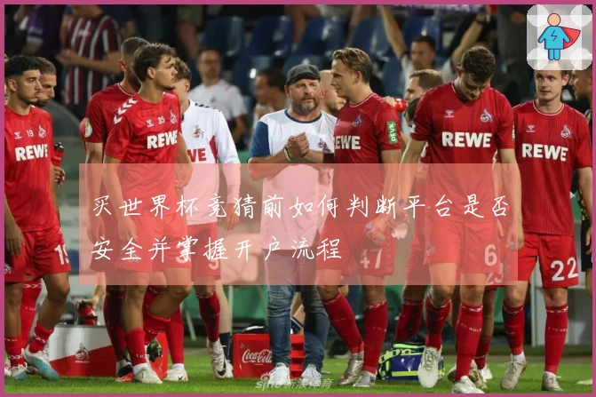 买世界杯竞猜前如何判断平台是否安全并掌握开户流程